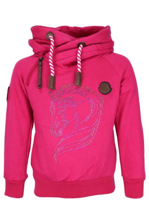 Hoodie prachtpaard roze