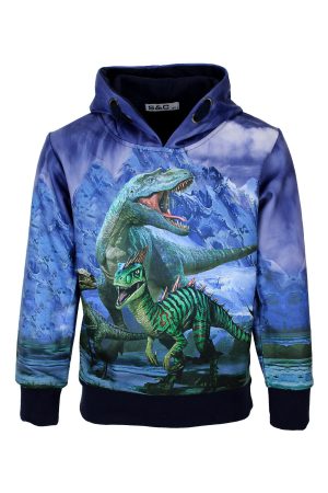 Hoodie Dino blauwijs