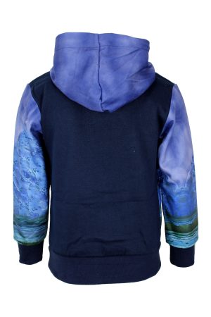 Hoodie Dino blauwijs