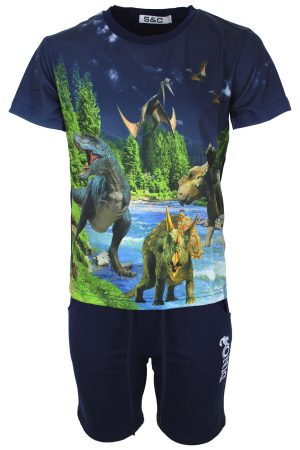 Setje Dino blauw