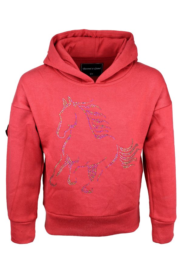 Hoodie Paard bordeaux rood