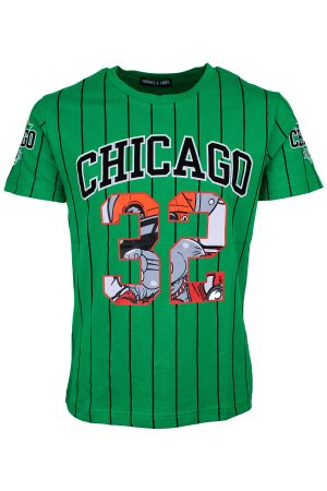 Shirtje Chicago groen